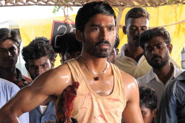 ஆடுகளம் படத்தில் முதன் முதலில் நடிக்கவிருந்தது இவரா? யார் தெரியுமா | Popular Actor Missed To Act In Aadukalam Movie