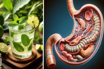 வெறும் வயிற்றில் கொய்யா இலை சாற்று குடித்தால் “இந்த” நோய் வராதாம்- செய்து பாருங்க