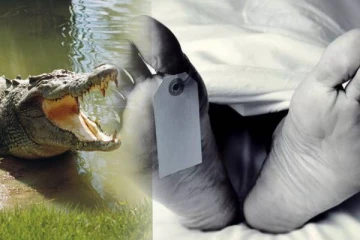 முதலையால் இழுத்துச் செல்லப்பட்ட பெண் பலி