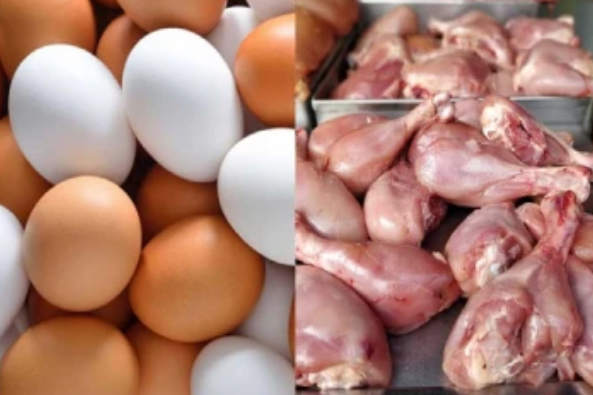 கோழி இறைச்சி மற்றும் முட்டை விலை உயரக் கூடும் என எச்சரிக்கை | Chicken And Egg Prices May Rise கோழி இறைச்சி மற்றும் முட்டை விலை உயரக் கூடும் என எச்சரிக்கை | Chicken And Egg Prices May Rise