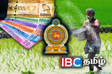 நெல்லுக்கான உத்தரவாத விலை : அரசாங்கத்திடம் விவசாயிகள் விடுத்த கோரிக்கை