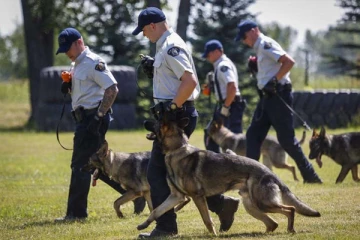 மோப்ப நாயை சுட்ட நபரை தேடிவந்த பொலிசார்... அவர் சிக்கியபோது நிகழ்ந்த பரிதாபம்
