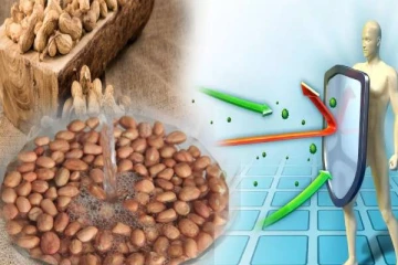 வெறும் வயிற்றில் ஊற வைத்த வேர்க்கடலையை சாப்பிடுடலாமா? நன்மைகளை தெரிஞ்சிக்கோங்க