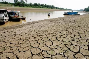 வரலாறு காணாத வறட்சி; இறந்த நூற்றுக்கணக்கு டால்பின்கள் - உலக நாடுகளுக்கு எச்சரிக்கை!