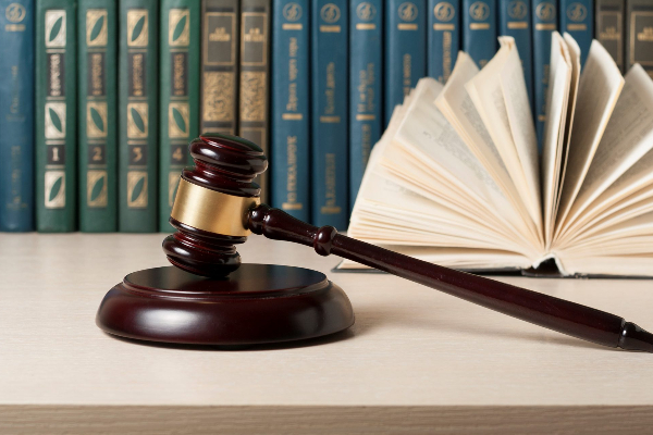 இணையத்தளத்தின் ஊடாக பொய்யான தகவல்களை வழங்குபவர்கள் நீதித்துறை மூலமே தண்டிக்கப்படுவர் : வஜிர அபேவர்தன | False Information In Website Punished By Judiciary