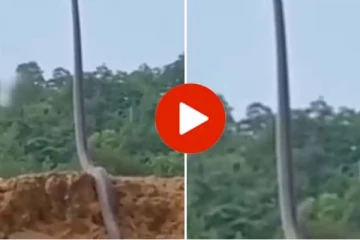 இந்த வீடியோவை பார்த்தால் உங்களது கண்ணை நம்ப மாட்டீர்கள்!