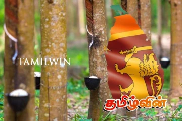 நாட்டில் இறப்பருக்கு பற்றாக்குறை