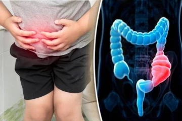 வயிற்றை சுத்தம் செய்து மலச்சிக்கலை குறைக்கும் பழங்கள்