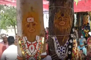 அரச மரத்திற்கும், வேப்ப மரத்திற்கும் திருமணம் செய்த மக்கள்!