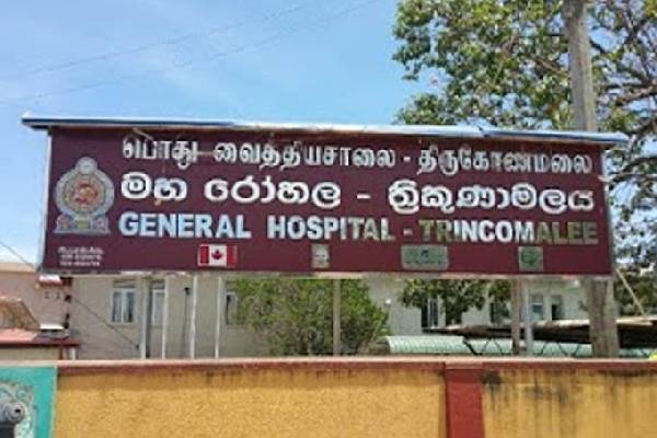 திருகோணமலையில் பாம்பு கடிக்கு இலக்கான சிறுவன் வைத்தியசாலையில் அனுமதி | Snake Bite Boy In Trincomale