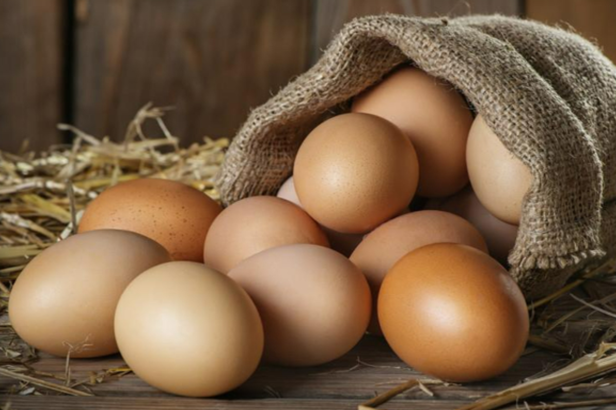 அதிகரிக்கபோகும் முட்டை விலை ; வெளியான தகவல் | Egg Prices Set To Rise In Sri Lanka அதிகரிக்கபோகும் முட்டை விலை ; வெளியான தகவல் | Egg Prices Set To Rise In Sri Lanka