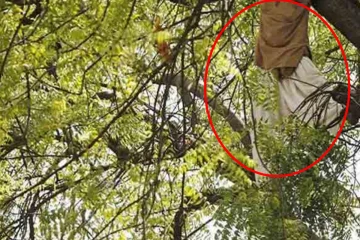 விகாரையில் மரத்தில் தொங்கிய வெளி நாட்டவரின் சடலம் ; நடந்தது என்ன?