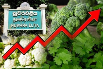 நுவரெலியாவில் உச்சம் தொட்டுள்ள மரக்கறி விலைகள்