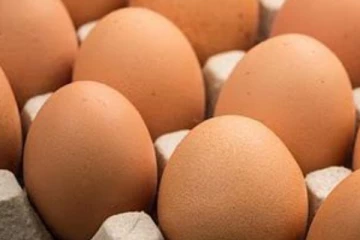 බිත්තරයක් 70ක් වෙයිද?..