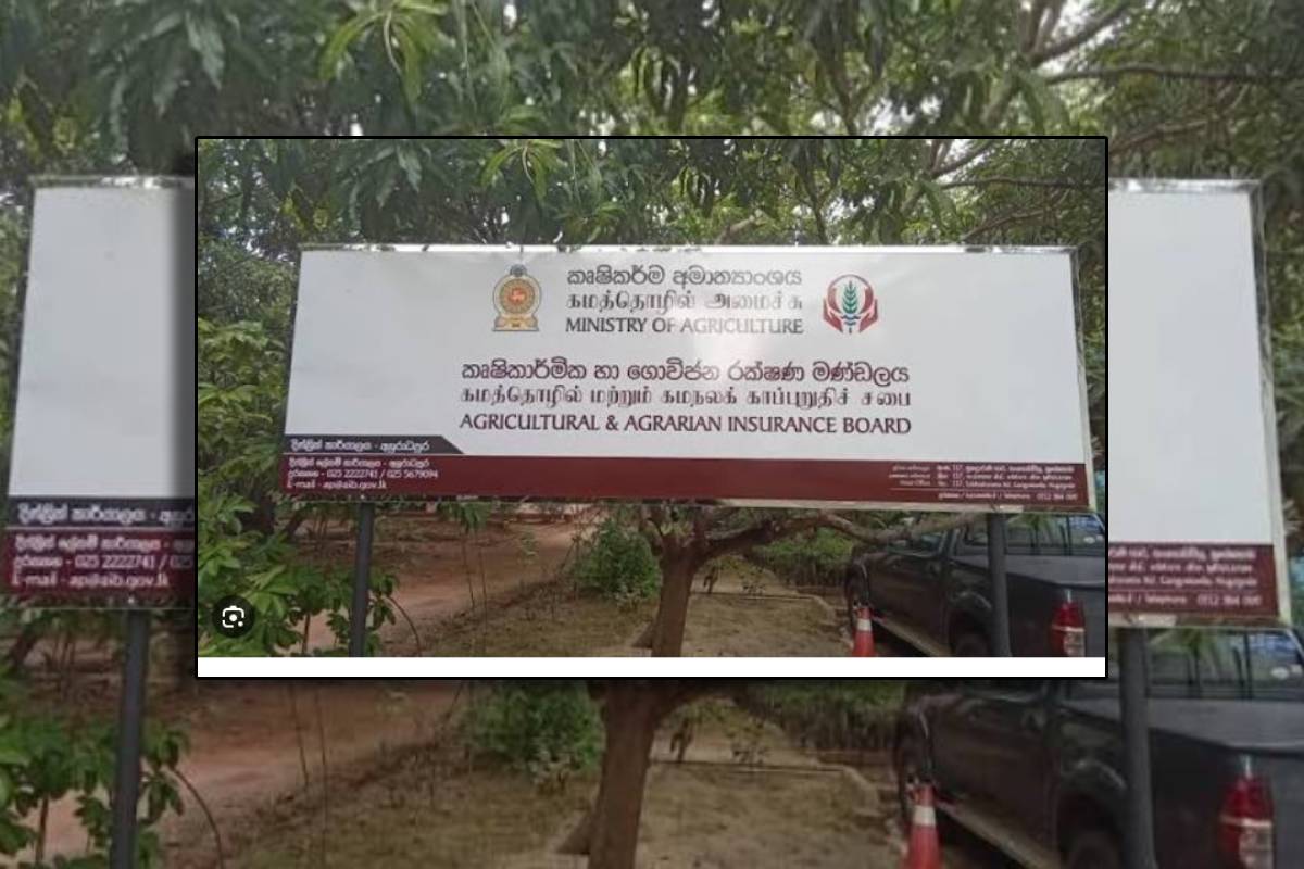 வறட்சியால் பாதிக்கப்பட்ட விவசாயிகளுக்கு நட்டஈடு : அமைச்சர் அறிவிப்பு | Compensation For Farmers Affected By Drought