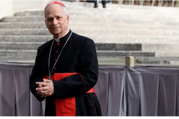 காசாவில் தாக்குதல்கள் நிறுத்தப்பட வேண்டுமென பாப்பாண்டவர் கோரிக்கை