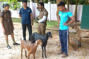 யாழில் இரகசிய தகவலின் அடிப்படையில் சுற்றிவளைப்பு (Video)