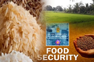 நவீனமயமாகும் நெல் களஞ்சியசாலைகள், ஐந்து கோடி கடன் உதவி - உணவுப் பாதுகாப்பு அமைச்சு