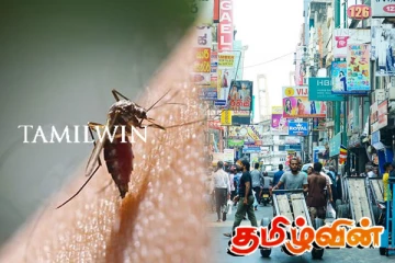 இலங்கையில் மலேரியா பரவல் குறித்து எச்சரிக்கை