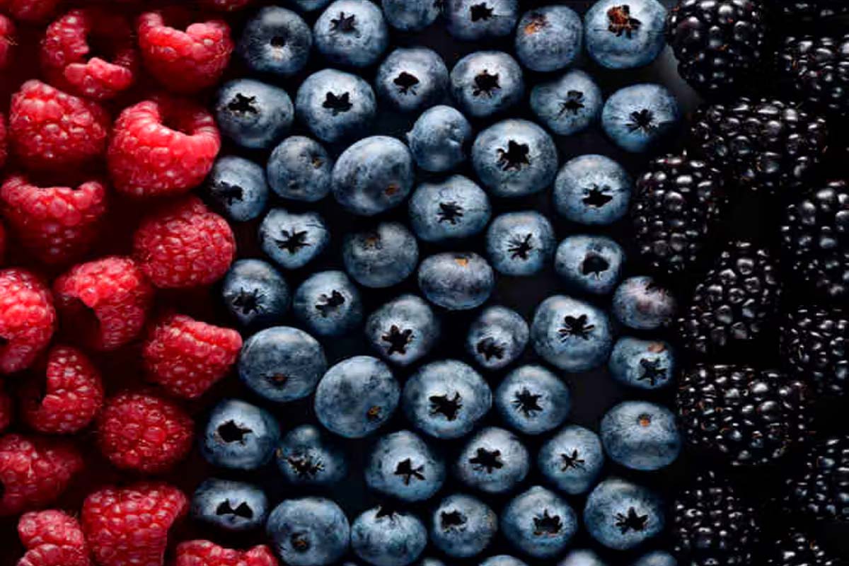 கோடைகாலத்தில் உடல் எடையை குறைக்க உதவும் உணவுகள் | Foods To Reduce Weight During Summer Season