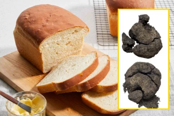 8600 ஆண்டுகள் பழமையான பாண்., துருக்கிய தொல்பொருள் தளத்தில் கண்டுபிடிப்பு