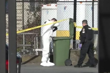 வாகன நிறுத்துமிடத்தில் பிறந்த குழந்தையின் சடலம்: தாயாரை தேடும் பொலிஸ்