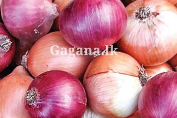 ඩොලරයත් පහු කරපු පුදුම හිතෙන ලොකු ලූණු ගැන මෙරටින් ඇහෙන අලුත්ම ආරංචිය මෙන්න..