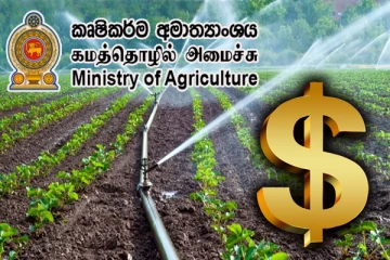 ஐந்து தோட்டப் பயிர்களின் ஏற்றுமதி : மில்லியன் டொலர் வருமானம் அதிகரிப்பு