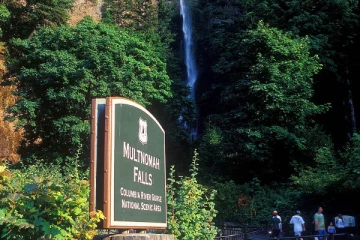 அமெரிக்காவில் மனைவி குழந்தைகள் கண் முன்னே நேர்ந்த துயரம்