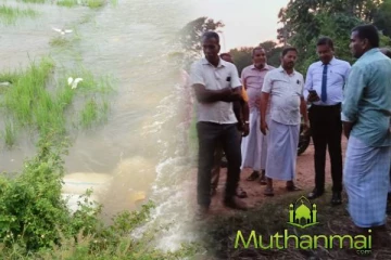 அம்பாறையில் வெள்ளத்தால் பாதிக்கப்பட்ட வேளாண்மை செய்கைகளை பார்வையிட்ட அரசாங்க அதிபர்