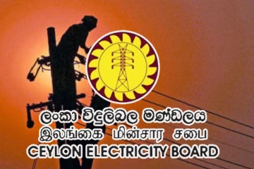 மின்சார சபை ஊழியர்களுக்கு சிக்கல் - குறைக்கப்படவுள்ள ஊழியர் எண்ணிக்கை