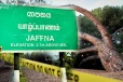 யாழில் மரத்தில் இருந்து கீழே விழுந்து 5 பிள்ளைகளின் தந்தை உயிரிழப்பு