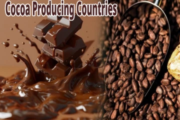 உலகிலேயே கோகோவை அதிகமாக உற்பத்தி செய்யும் நாடு எது?