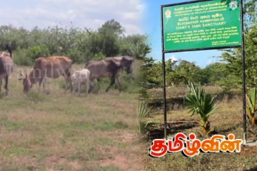 வனத்துறையின் அத்துமீறல்கள் உடனடியாக நிறுத்தப்பட வேண்டும் : வலியுறுத்தும் தமிழ் எம்.பி