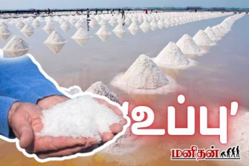 உப்பு காலாவதியாகுமா? இது தெரியாம போச்சே எவ்வளவு நாட்கள் வரை பயன்படுத்தலாம்?