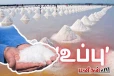 உப்பு காலாவதியாகுமா? எவ்வளவு நாட்கள் வரை உப்பை பயன்படுத்தலாம்? முழு விபரம் இதோ