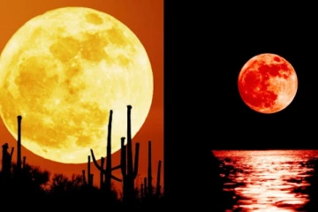 வானில் தோன்றிய ‘சூப்பர் மூன்’ - அழகை ரசித்த மக்கள் மகிழ்ச்சி!