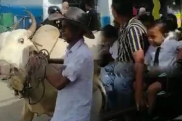 மாட்டு வண்டிலில் செல்லும் பாடசாலை மாணவர்கள்!