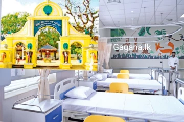 කතරගම දේවාලය තවත් රෝහල් 3ක් සංවර්ධනය කරන්න පෙරට එයි..ආණ්ඩුව කුමක් කරයි ද?