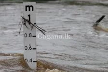 මහවැලි ගඟ මල්වතු සහ යාන් ඔය ගංවතුර අවදානම් මට්ටමේ...