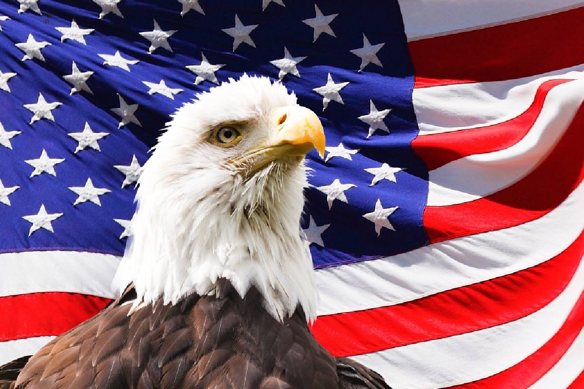 ஈஸ்டர் தாக்குதல் : தேவாலயத்தை காட்ட சுரேஷ் சலே உதவினாரா... மொட்டுக்கட்சி கேள்வி | Suresh Saleh Helped The Easter Sunday Attacker