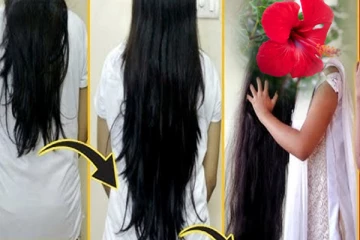 வாழ்நாள் முழுவதும் முடி கொட்டாது.., செம்பருத்தி பூவை இப்படி பயன்படுத்தவும்..!