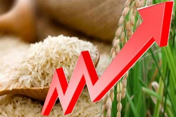 200 ரூபாவுக்கும் மேல் அதிகரிக்கவுள்ள அரிசி விலை? (VIDEO)