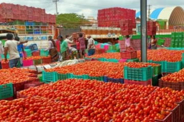 அதிகரித்த வரவு..விலை குறைந்த தக்காளி..ரேஷன் கடையில் விநியோகம் நிறுத்தம்