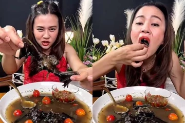 முழு வௌவாலை சாப்பிடும் வீடியோவை வெளியிட்ட பெண்! அதிர்ச்சியடைந்த மக்கள்.. ஐந்து ஆண்டுகள் சிறை