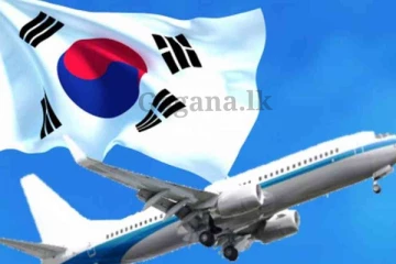 කොරියාවේ රැකියා ගැන හීන දැක්ක අයට සුබ ආරංචියක් මෙන්න..