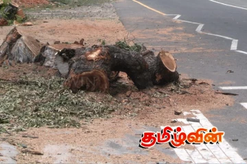 யாழில் அரச அதிகாரிகள் மேற்கொண்ட அசமந்த போக்கான செயல்