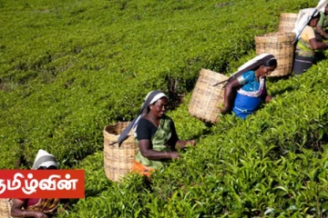 நீதிமன்றின் உதவியுடன் 1000 ரூபா சம்பளப் பிரச்சினைக்கு தீர்வு காண முயற்சிக்கின்றனவா கம்பனிகள்?
