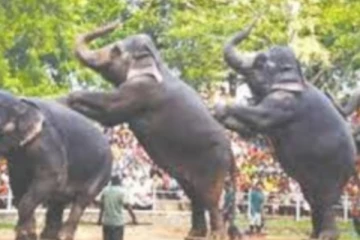 இன்று முதல் மீள திறக்கப்படும் மிருக காட்சி சாலைகள்