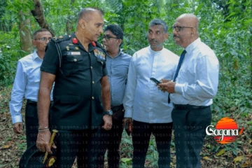 දියගම ව්‍යාපෘතියේ වන විනාශයක් සිදු වෙලා කියන කතාවේ ඇත්ත නැත්ත මෙන්න